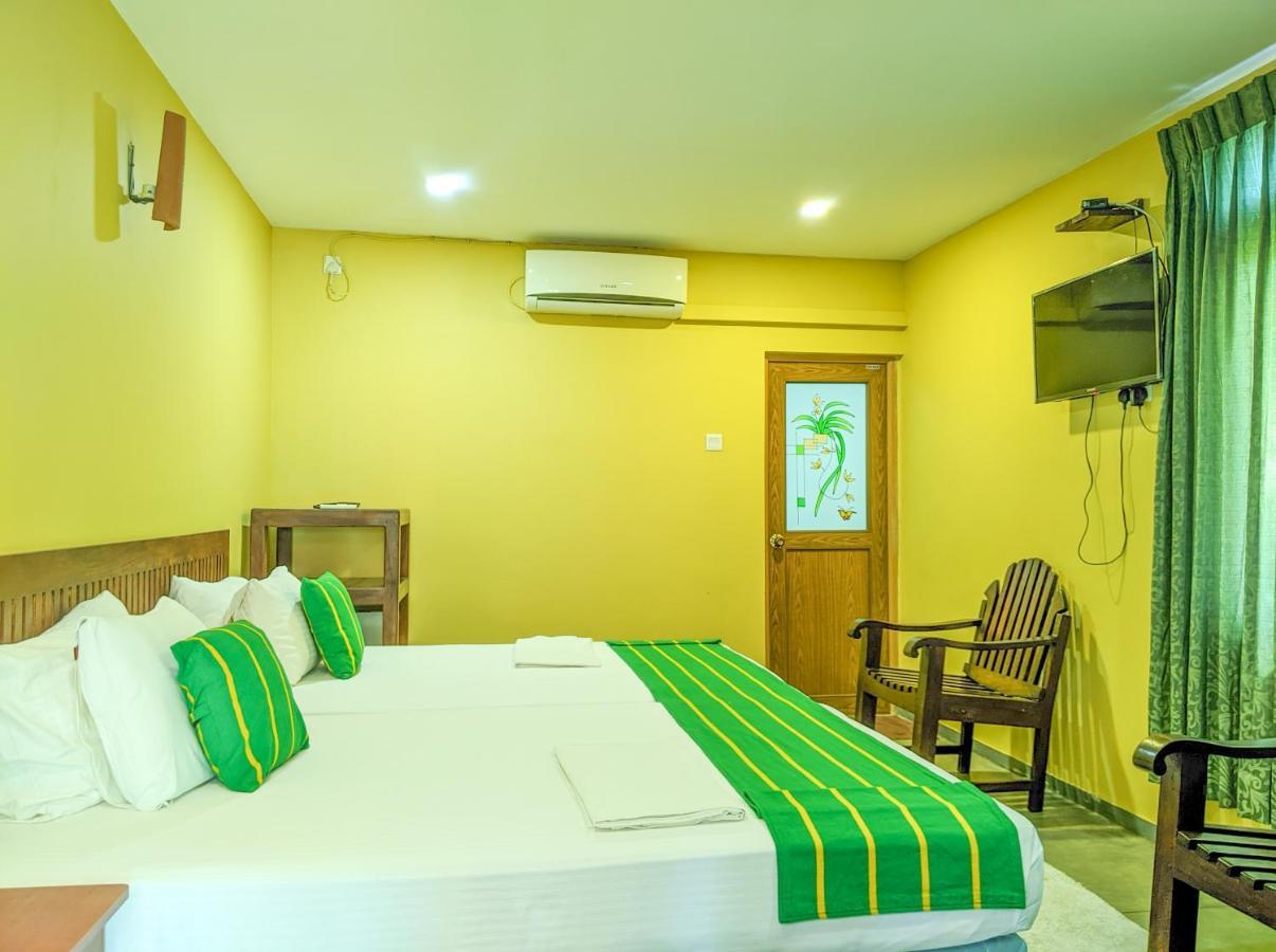 Yala Golden Wild Bed and Breakfast Tissamaharama Buitenkant foto